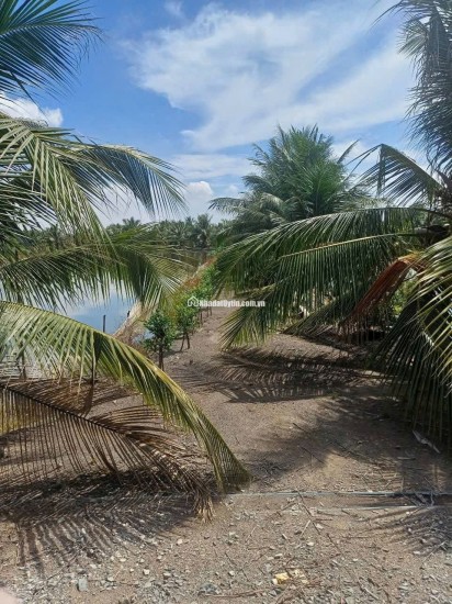BÁN ĐẤT XÃ BÌNH LỢI - BÌNH CHÁNH, 10.387M2 SẴN 2 SỔ HỒNG CHỈ 2 TỶ/1000M2. LH:0978435476.