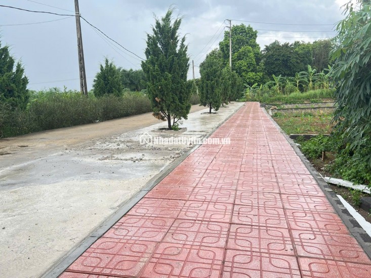 Bán mảnh đất( 8x15 )120m2 full thổ cư. xã Phú Cát Hà Nội,Cách ql21 150m, cạnh trường đại học công nghệ