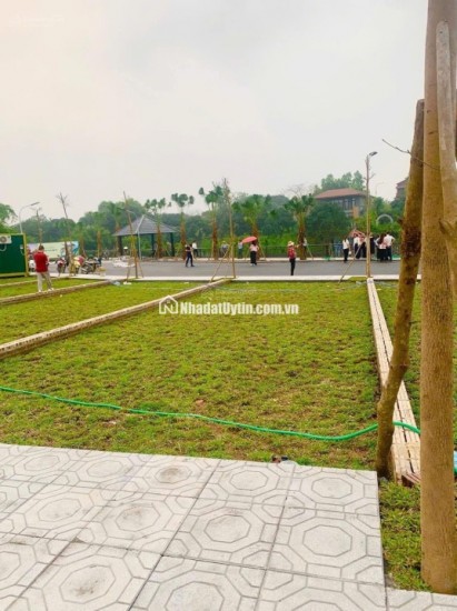 Lãi Kép tại Phú Cát giá trị tăng của đất + xây nhà cho thuê dòng tiền 600/năm gần Đại Học Quốc Gia