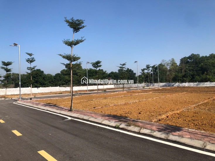 Hiếm có suất ngoại giao lô đất Phú Cát sát Metro City, mặt đường tỉnh 446, ngã tư Vai Réo