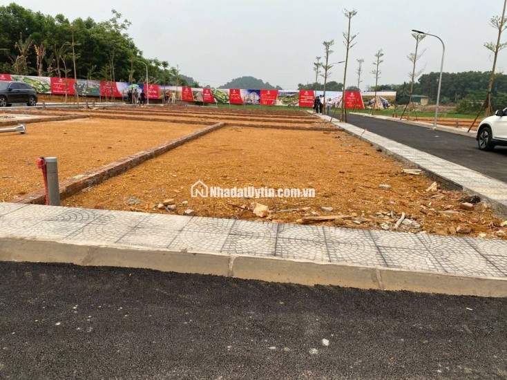 Bán đất thổ cư sổ đỏ 100m2, mặt tiền 6m, đường 21A, Phú Cát, Quốc Oai, Hà Nội. Giá 3.9 tỷ. LH: 0382394677