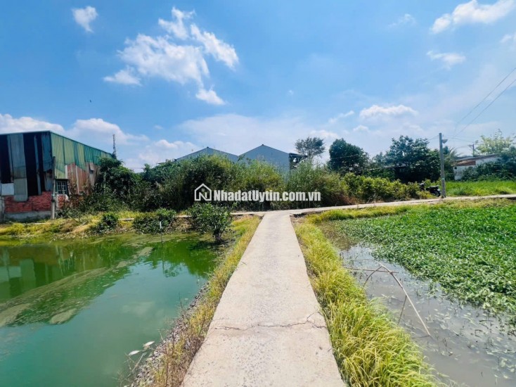 CHỦ ĐẤT CẦN BÁN  GẤP 2 MIẾNG ĐẤT BÌNH CHÁNH ẤP 3 TÂN QÚI TÂY. LH:0909304773.