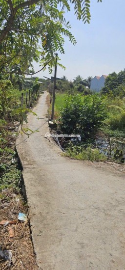 CHỦ ĐẤT CẦN BÁN  GẤP 2 MIẾNG ĐẤT BÌNH CHÁNH ẤP 3 TÂN QÚI TÂY. LH:0909304773.