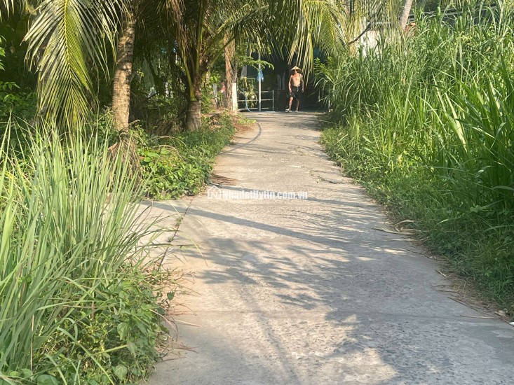 BÁN ĐẤT TP MỸ THO, DT 413.5M2 CÓ SẴN 120M2 THỔ CƯ. SHR. CHỈ 1.35 TỶ. LH:0383730186.