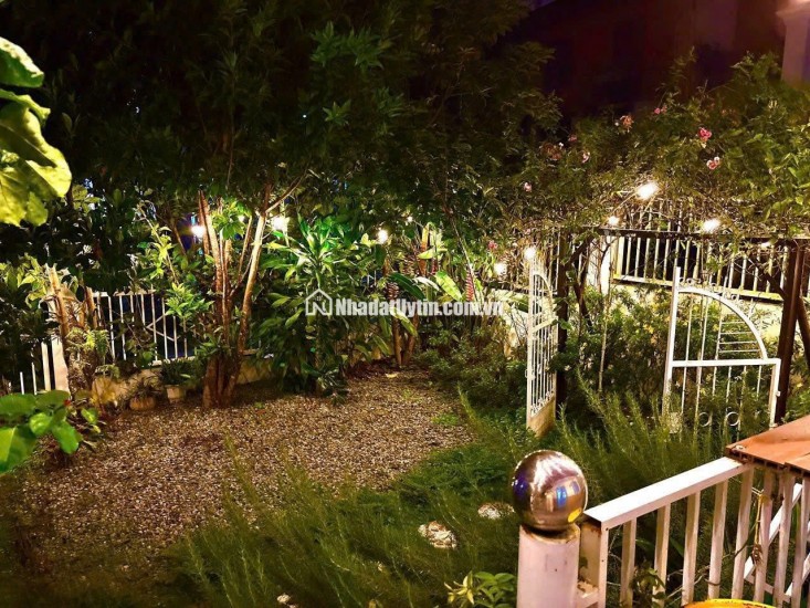 Cho thuê Homestay Phạm Hồng Thái phường 10 Đà Lạt