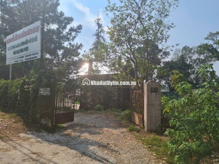 BIỆT THỰ PHÁP CỔ TTTP ĐÀ LẠT 1800M2 PHÁP LÝ RÕ RÀNG 75 TỶ. LH:0909267003.