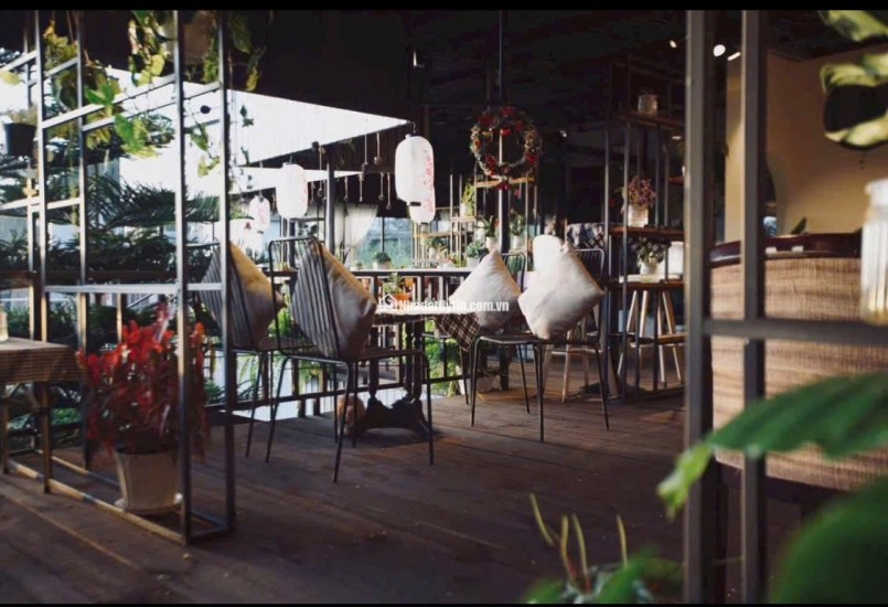 CHO THUÊ HOMESTATAY CAFE  ĐƯỜNG TRIỆU VIỆT VƯƠNG P4 ĐÀ LẠT