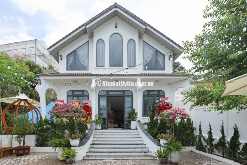 Cho thuê Villa đồi Đa Phú săn mây sân vườn và hồ bơi cực chill 50 triệu/tháng