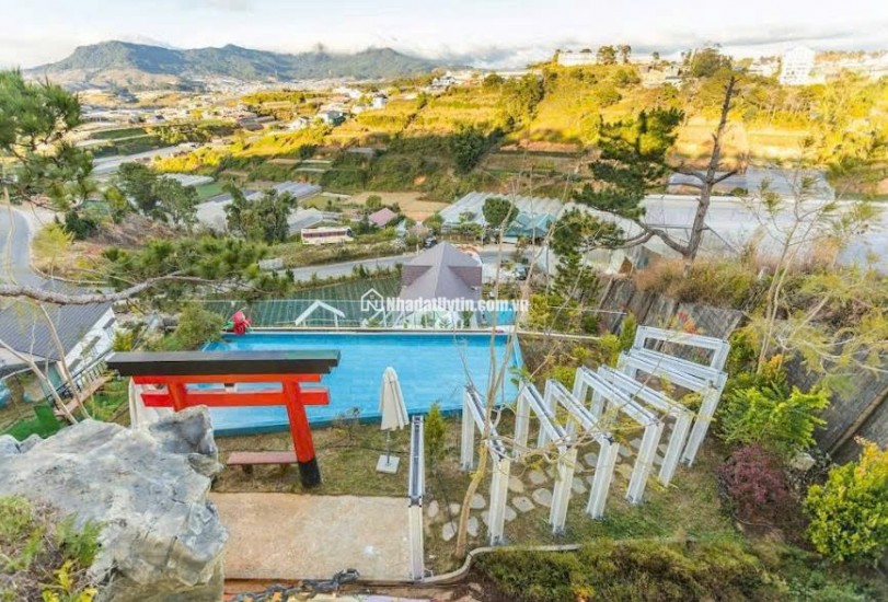 Cho thuê Villa đồi Đa Phú săn mây sân vườn và hồ bơi cực chill 50 triệu/tháng