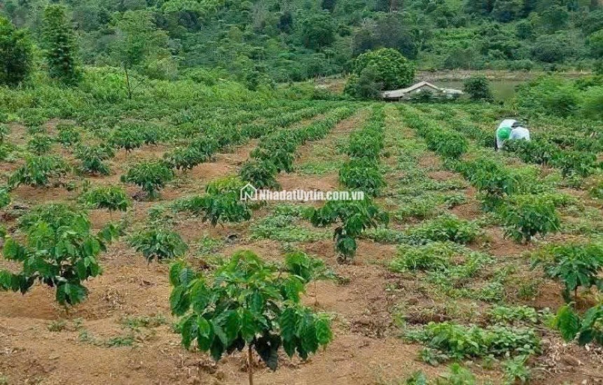  **Cơ hội đầu tư siêu hời cho nhà đầu tư thông thái!** 
