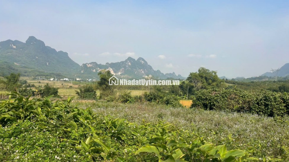 Đất Cao Phong Giá SỐC Chỉ Dưới 1 Triệu/m² Sở Hữu 6000m² View Cánh Đồng cách QL6 chưa đến 1km