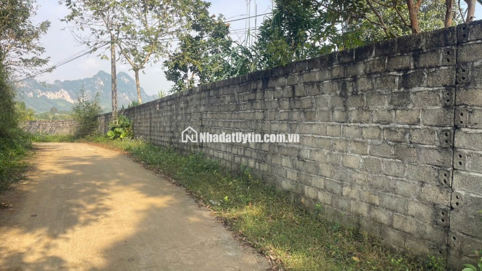 Đất Cao Phong Giá SỐC Chỉ Dưới 1 Triệu/m² Sở Hữu 6000m² View Cánh Đồng cách QL6 chưa đến 1km