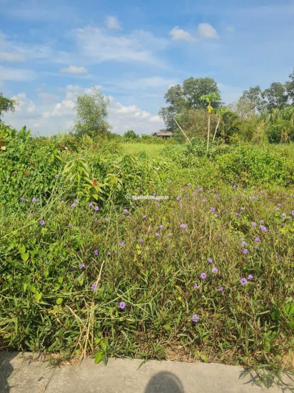 BÁN 3475M2 ĐẤT SẴN 845M2 THỔ - TẠI CHÂU THÀNH. LONG AN CŨ. LH:0773012099.