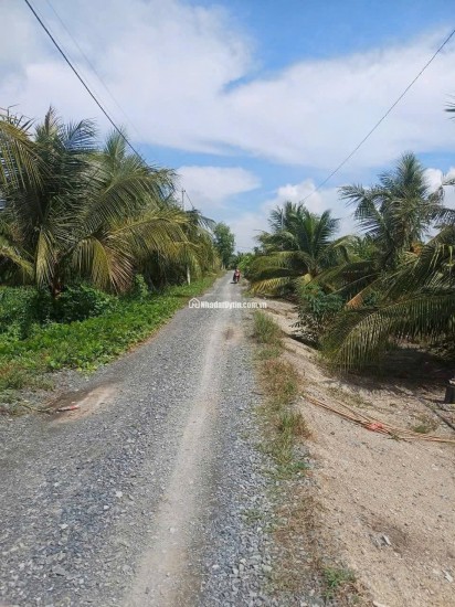 BÁN ĐẤT XÃ BÌNH LỢI - BÌNH CHÁNH, 10.387M2 SẴN 2 SỔ HỒNG CHỈ 2 TỶ/1000M2. LH:0978435476.