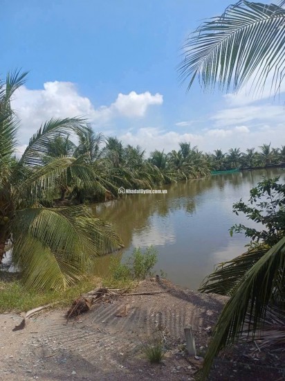 BÁN ĐẤT XÃ BÌNH LỢI - BÌNH CHÁNH, 10.387M2 SẴN 2 SỔ HỒNG CHỈ 2 TỶ/1000M2. LH:0978435476.