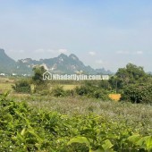 Đất Cao Phong Giá SỐC Chỉ Dưới 1 Triệu/m² Sở Hữu 6000m² View Cánh Đồng cách QL6 chưa đến 1km