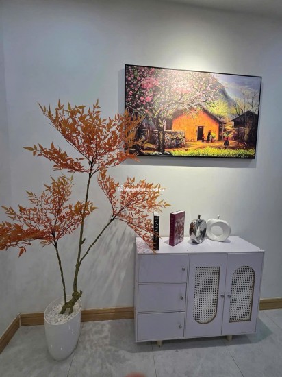 BÁN NHÀ 2MT ĐƯỜNG PHẠM NGŨ LÃO (HẢI CHÂU) – 72MV 2 TẦNG – SHR CHỈ 4.7TỶ. LH:0905558958.