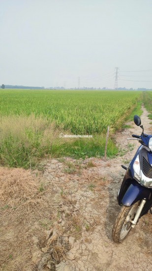 BÁN ĐẤT TÂN THẠNH, LONG AN – TDT 44000 M2 – SHR - 15 TỶ. LH:0989327777 - MR.QUỐC