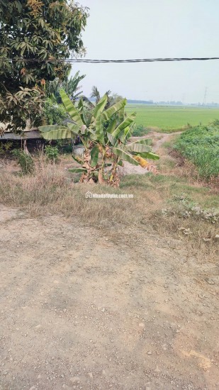 BÁN ĐẤT TÂN THẠNH, LONG AN – TDT 44000 M2 – SHR - 15 TỶ. LH:0989327777 - MR.QUỐC