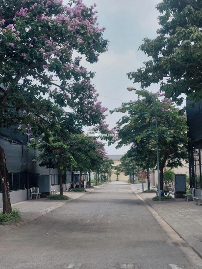 Bán Đất 250m2 Khu C - Khu đô thị Nguyên Khê - Đông Anh - Hà Nội. Giá 105tr/m2