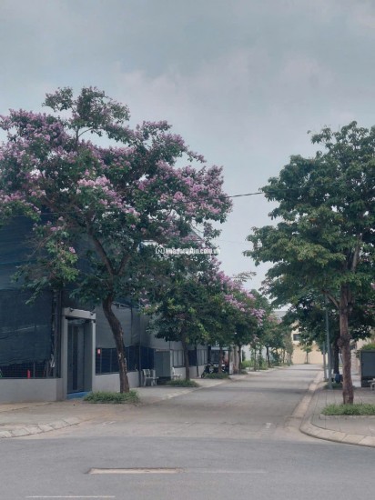 Bán Đất 250m2 Khu C - Khu đô thị Nguyên Khê - Đông Anh - Hà Nội. Giá 105tr/m2