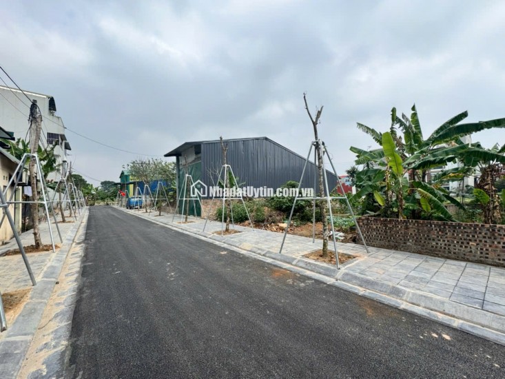 Bán Lô đất 115m2 - Làn 2 KĐT Nguyên Khê - Đông Anh - Hà Nội. Giá 95tr/m2