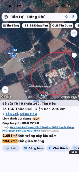 BÁN ĐẤT TÂN LỢI ĐỒNG PHÚ - FULL THỔ CƯ - SHR - GIÁ CHỈ 350TR/LÔ. LH:0363082064.