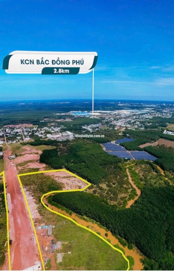 BÁN ĐẤT TÂN LỢI ĐỒNG PHÚ - FULL THỔ CƯ - SHR - GIÁ CHỈ 350TR/LÔ. LH:0363082064.
