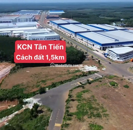 BÁN ĐẤT TÂN LỢI ĐỒNG PHÚ - FULL THỔ CƯ - SHR - GIÁ CHỈ 350TR/LÔ. LH:0363082064.