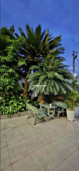 BIỆT THỰ SÂN VƯỜN 313M2 - CHỢ XUÂN THỚI THƯỢNG - FULL NỘI THẤT - 8TỶ960TR LH:0369571337.