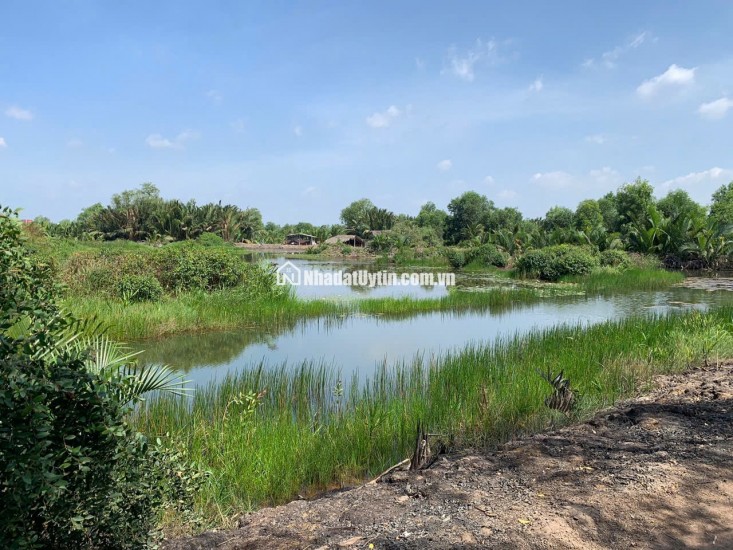 CẦN BÁN 3000M2 ĐẤT NÔNG NGHIỆP TP THỦ ĐỨC, GIÁ 5 TỶ 1 CÔNG. LH:0918372372.