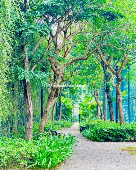  LIỀN KỀ CEOHOMES HANA GARDEN – KHÔNG GIAN SỐNG ĐA NĂNG, KHAI THÁC LINH HOẠT