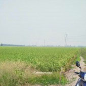 BÁN ĐẤT TÂN THẠNH, LONG AN – TDT 44000 M2 – SHR - 15 TỶ. LH:0989327777 - MR.QUỐC