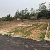 CẦN BÁN NHANH LÔ ĐẤT FULL THỔ CƯ – CẨM LĨNH, BA VÌ