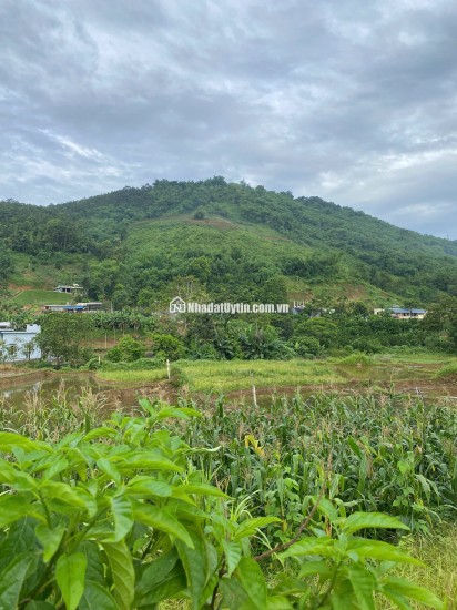  Cơ hội sở hữu lô đất nghỉ dưỡng đẳng cấp – vị trí vàng – tiềm năng tăng giá mạnh tại xã