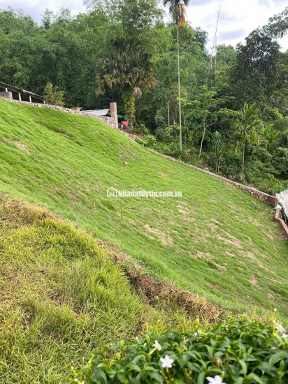  Cơ hội sở hữu lô đất nghỉ dưỡng đẳng cấp – vị trí vàng – tiềm năng tăng giá mạnh tại xã