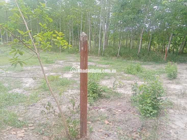 GIẢM GIÁ BÁN GẤP ĐẤT PHÚ MỸ HƯNG, CỦ CHI, TỪ 2.5 TỶ CHỈ CÒN 2.1 TỶ. LH:0918091655.
