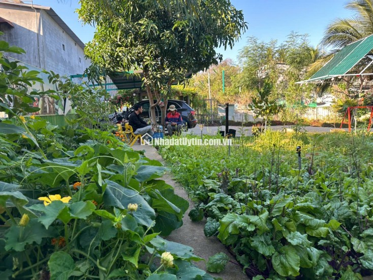 BÁN TRƯỜNG MẦN NON THÔN GÒ SẠN, XÃ BẮC PHONG, HUYỆN THUẬN BẮC. LH:0906000199.