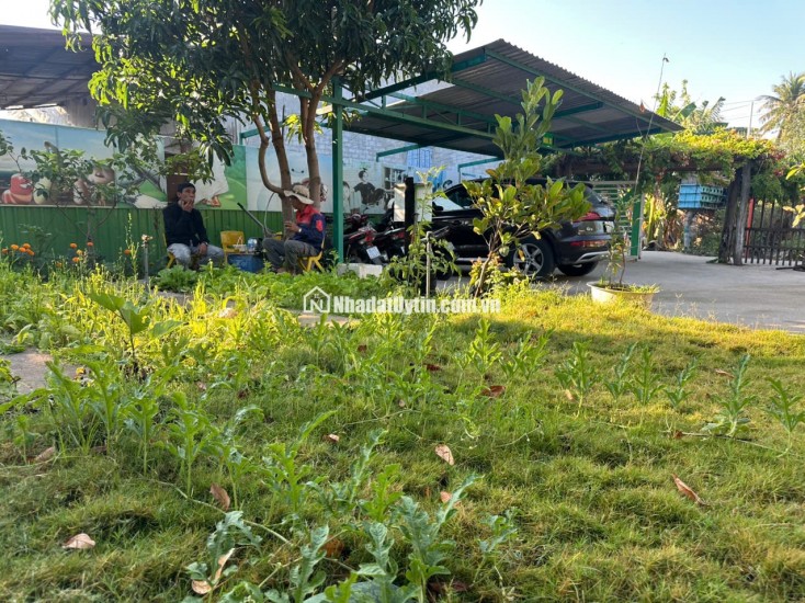 BÁN TRƯỜNG MẦN NON THÔN GÒ SẠN, XÃ BẮC PHONG, HUYỆN THUẬN BẮC. LH:0906000199.