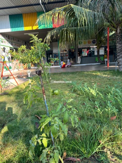 BÁN TRƯỜNG MẦN NON THÔN GÒ SẠN, XÃ BẮC PHONG, HUYỆN THUẬN BẮC. LH:0906000199.