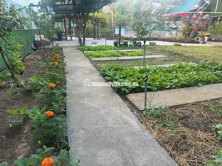 BÁN TRƯỜNG MẦN NON THÔN GÒ SẠN, XÃ BẮC PHONG, HUYỆN THUẬN BẮC. LH:0906000199.