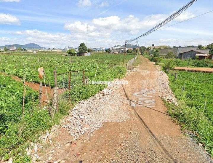 Bán đất 112,5m² Liên Nghĩa, Đức Trọng, Lâm Đồng – Gần trung tâm hành chính, giá 1,2 tỷ