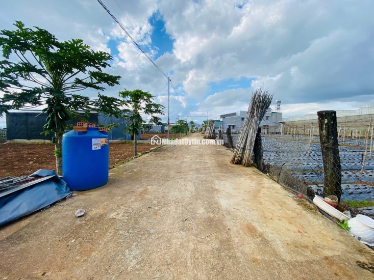 Bán đất 112,5m² Liên Nghĩa, Đức Trọng, Lâm Đồng – Gần trung tâm hành chính, giá 1,2 tỷ