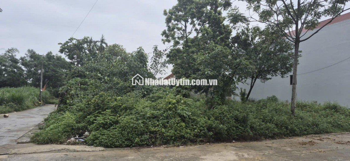 BÁN LÔ ĐẤT 85,6 m2 ĐÔNG YÊN - QUỐC OAI - SỔ ĐỎ MỚI CẤP 2024 - NỞ HẬU