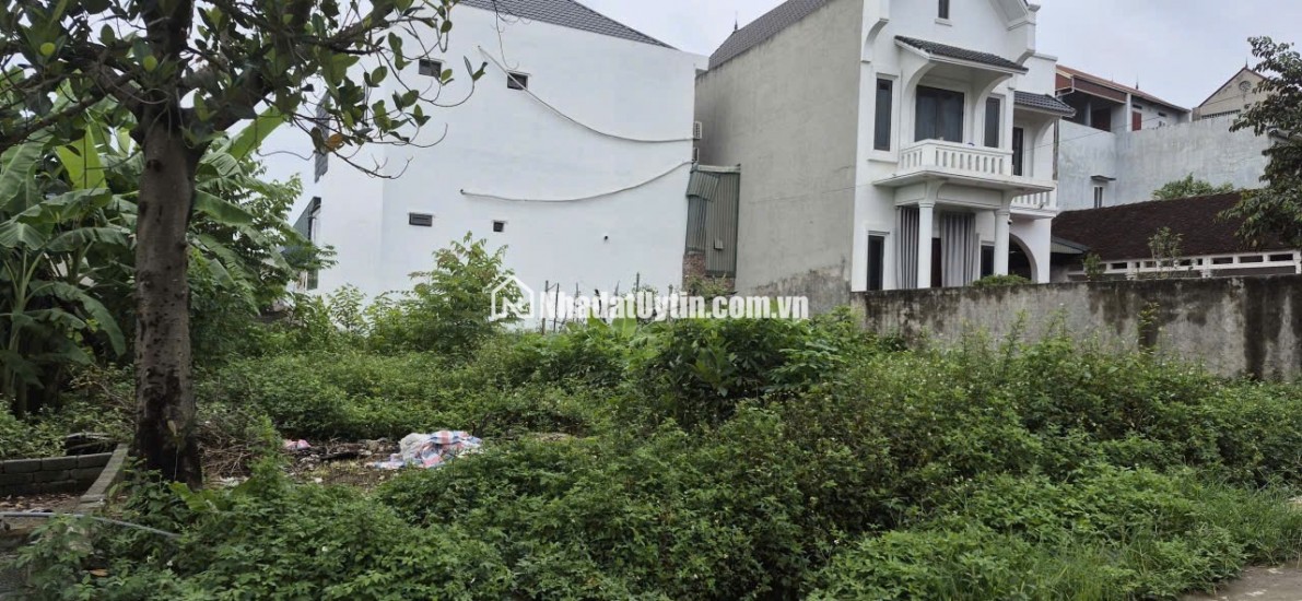 BÁN LÔ ĐẤT 85,6 m2 ĐÔNG YÊN - QUỐC OAI - SỔ ĐỎ MỚI CẤP 2024 - NỞ HẬU