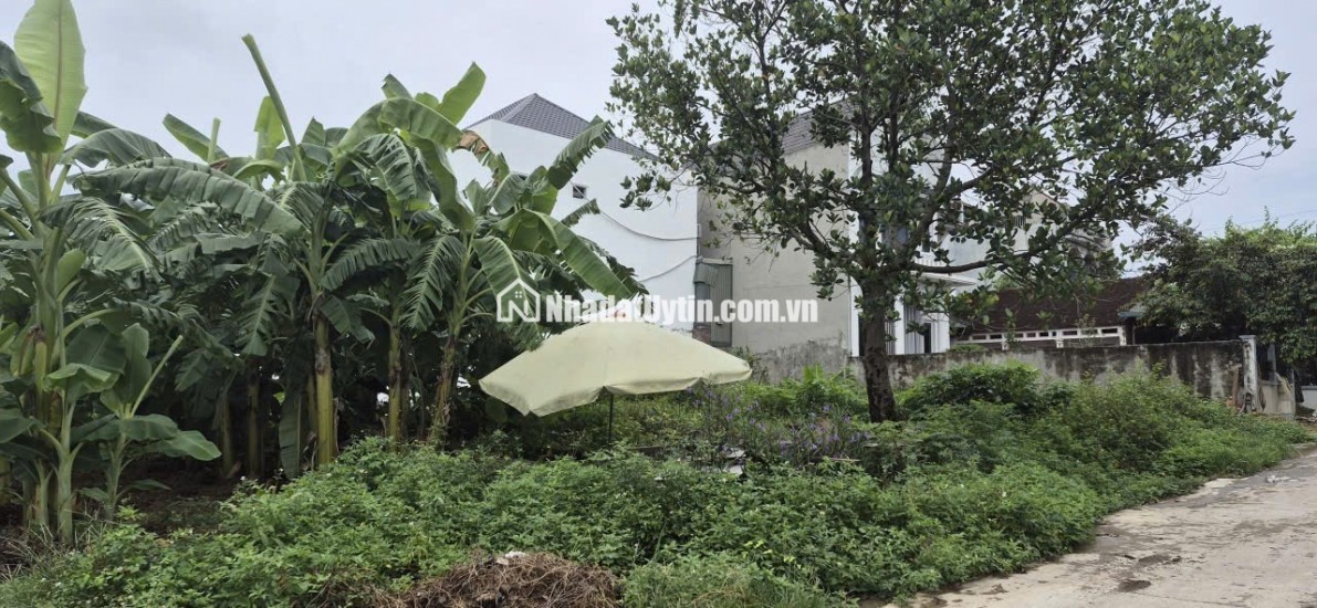 BÁN LÔ ĐẤT 85,6 m2 ĐÔNG YÊN - QUỐC OAI - SỔ ĐỎ MỚI CẤP 2024 - NỞ HẬU