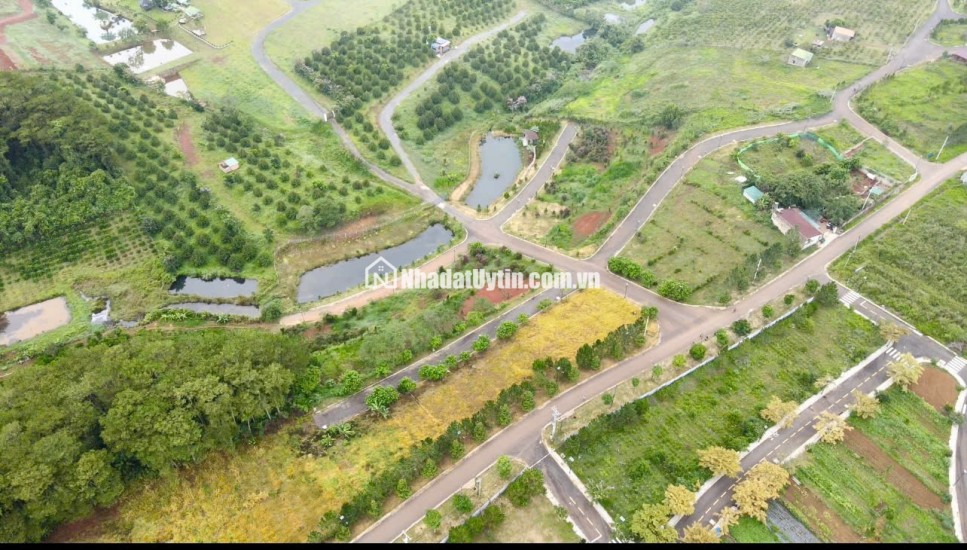 SỞ HỮU NGAY ĐẤT NỀN VIEW ĐỒI THÔNG TẠI BẢO LỘC -  CHỈ CẦN TRẢ TRƯỚC 299 TRIỆU