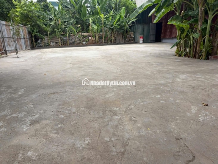 CHO THUÊ SÂN VƯỜN TẠI TÂN XUÂN, PHƯỜNG XUÂN ĐỈNH, HÀ NỘI. LH:0912172283.