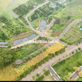 SỞ HỮU NGAY ĐẤT NỀN VIEW ĐỒI THÔNG TẠI BẢO LỘC -  CHỈ CẦN TRẢ TRƯỚC 299 TRIỆU