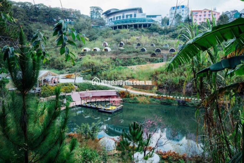 Bán đất khe sanh phường 10 Đà Lạt